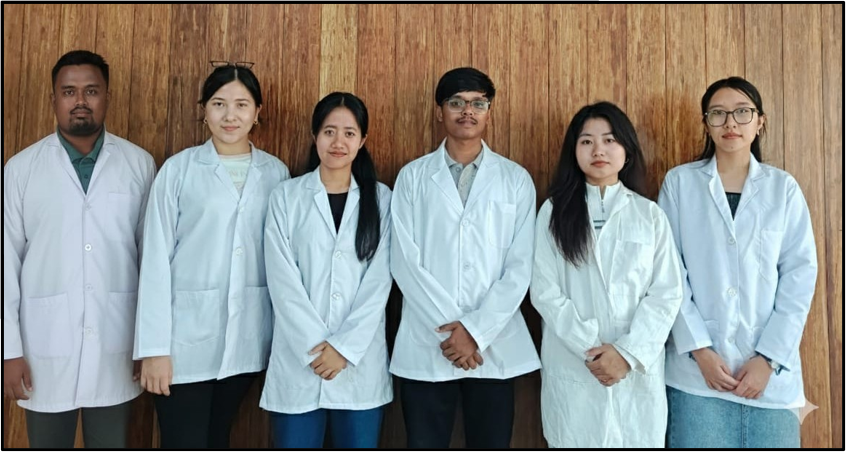 Research Scholars working